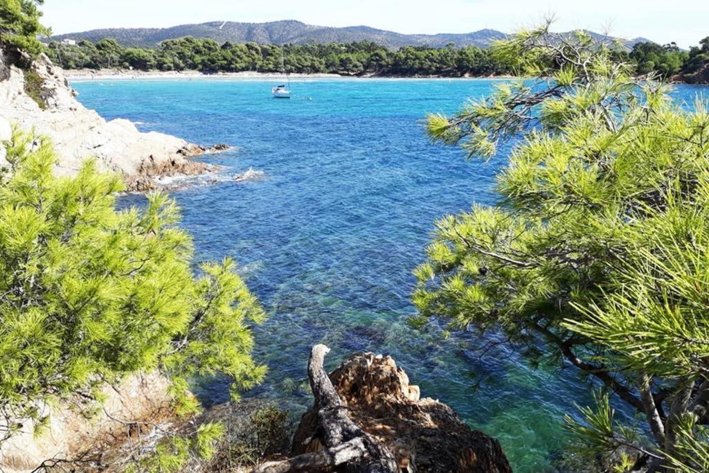 T2 Clim Parking, Entre Nature Et Plage Ιέρ Εξωτερικό φωτογραφία